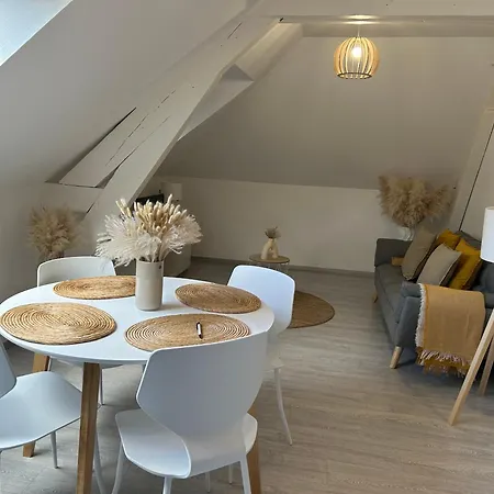 Sb Scandinave Appartement